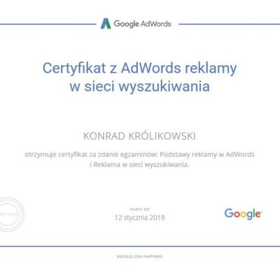 Konrad Królikowski specjalista Google Adwords